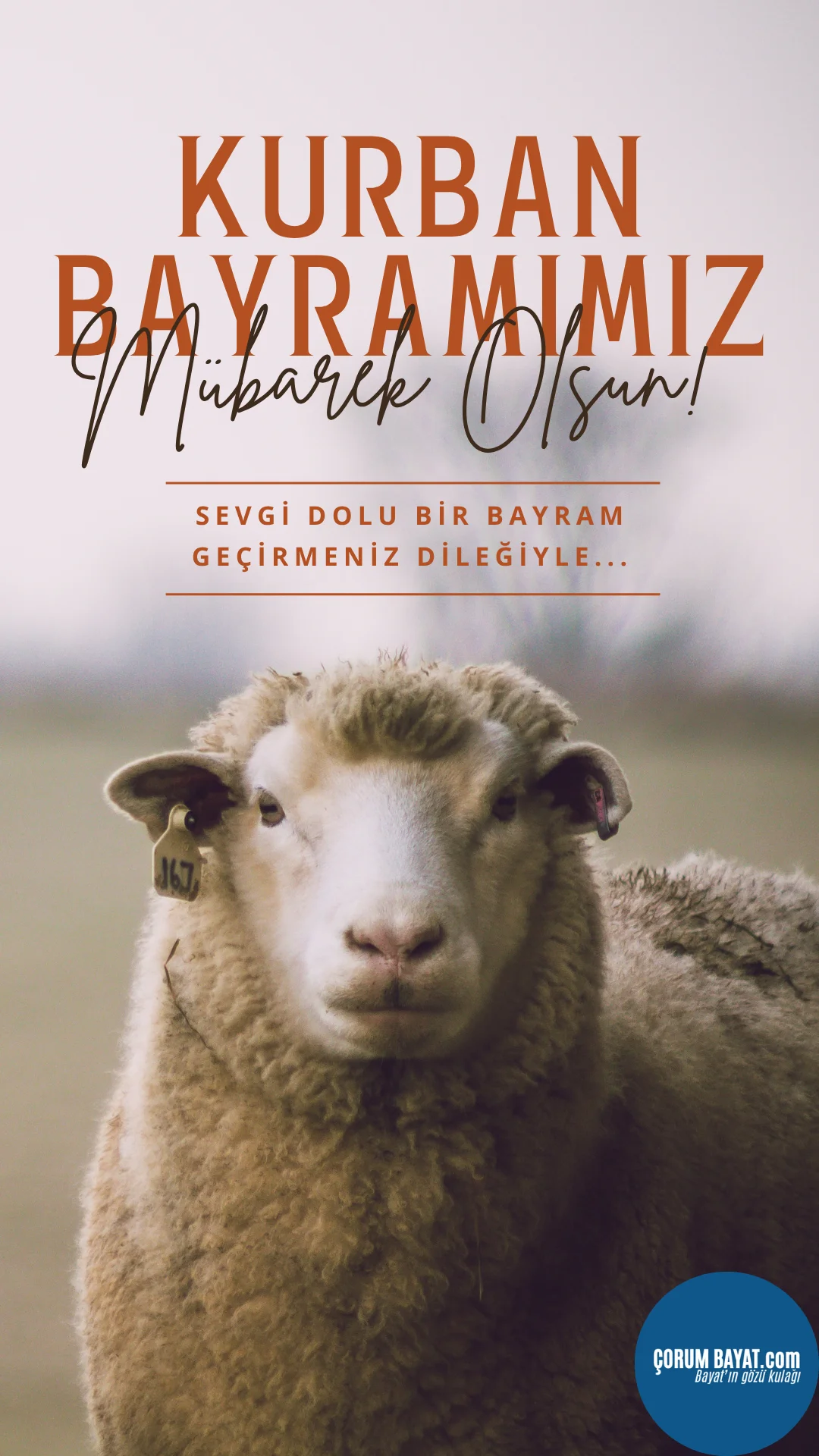 39932.webp